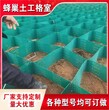 护坡塑料蜂巢土工格室100-600绿化土工网格价格