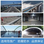 家虹FBT1500型公路桥梁防水涂料,供应FBT-1500型路桥防水涂料回收图片0