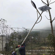 路灯太阳能板厂家天津和平新农村建设市电led路灯