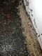珙县灭白蚂蚁公司产品图