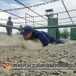 杭州供应200米灭火障碍训练器材品牌