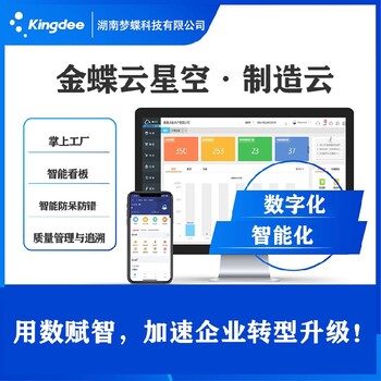 金蝶软件ERP系统,益阳大型金蝶ERP软件报价