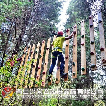 上海从事丛林穿越扩展设备,森林探险