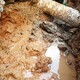 南城探测埋地管网漏水图