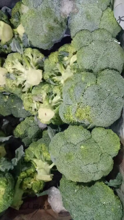 深圳生鮮配送公司排名
