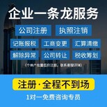 分公司法人转股如何办理图片2