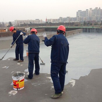 广西隆安周边屋顶防水补漏工程报价