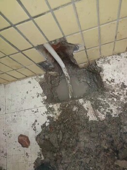 广州给水管漏水测漏荔湾自来水管渗漏水查漏,测漏公司