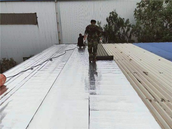 西林县屋顶防水补漏报价