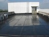 广西隆安屋顶防水补漏施工方案