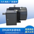 山东力久DYG系列6级高起动多速电动机节能高效电机可定制图片