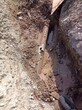 探测水管查漏维修,广州瓷板下供水管漏水测漏天河探测埋地管网漏水费用