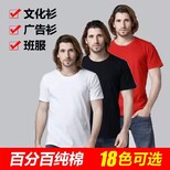 广告衫团体服,内蒙古全新文化衫样式优雅图片1