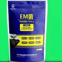 供應金山生物EM菌出售,EM菌液