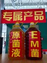 EM菌液的使用方法，EM菌液的制作方法