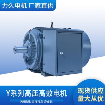 力久单速高压笼形三相异步电动机Y系列高压电机