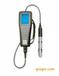YSI品牌Prosolo溶解氧测量仪