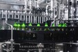 科源机械DGF系列玻璃瓶啤酒灌装机鲜啤灌装生产线设备