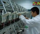浦东年度实验室仪器设备校准第三方单位,检测校准服务图片