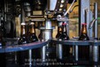 全自动啤酒灌装生产线设备小型精酿啤酒包装机