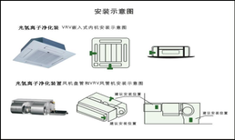 北京销售光氢离子净化器图片4