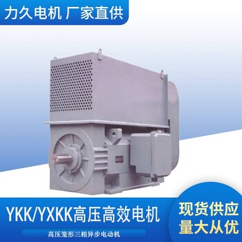 山东力久电机YKK、YXKK系列高压三相异步电动机