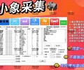 北京小象淘上拼軟件拼多多軟件代理ＡＰＩ后臺代理,小象采集軟件