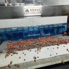 貴州隧道式液氮速凍機(jī)
