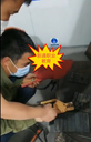 廣東東莞西城焊工證培訓(xùn)費(fèi)用