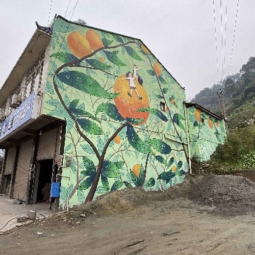 浙江台州天台县乡村文化墙画涂鸦彩绘乡村宣传墙涂鸦彩绘壁画设计
