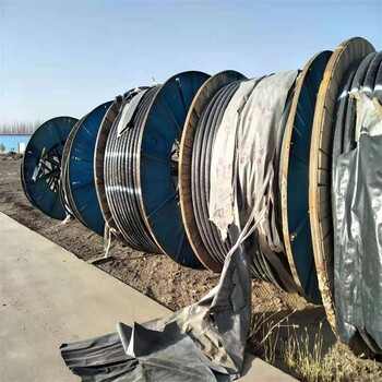 舟山从事回收电缆线厂家