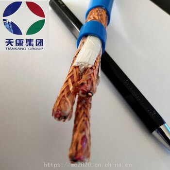 安徽天康供应IA-DJF46P1GP16215本安仪表通信电缆本安型计算机电缆