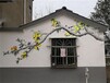 郴州社区市政文化墙画彩绘价格