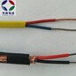 天长供应本安型精密级补偿电缆EX-HS-FPGP5205防爆热电偶用补偿导线
