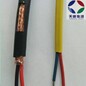天长供应本安型精密级补偿电缆ZR-IA-EX-DJFPFP2205防爆热电偶用补偿导线