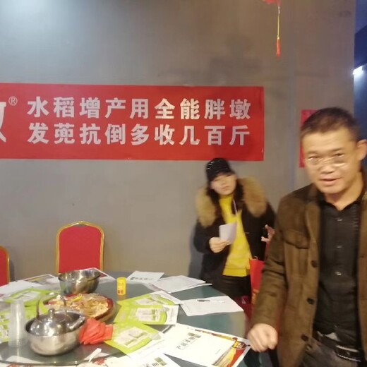 廣西百色胖墩稻立豐,水稻柯杈肥