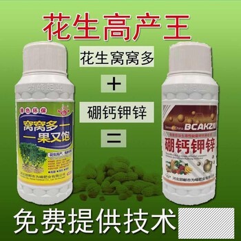 安徽黄山花生窝窝多批发,花生窝窝丰