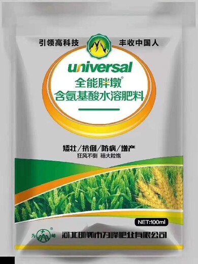 山西晉中麥黃金,控旺麥黃金