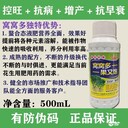 河南安陽花生窩窩多廠家,花生胖墩