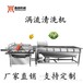 鑫鼎XD-500白菜丝涡流清洗机鲜切蔬菜清洗流水线