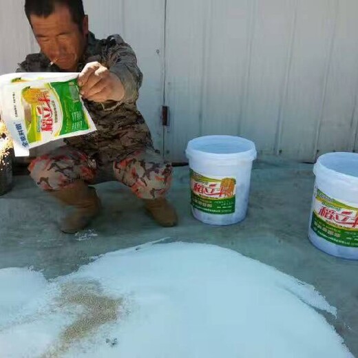 稻立豐代理籽粒勻飽，出米率穩(wěn)步攀升水稻返青肥