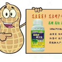 為峰花生窩窩豐,廣東珠?；ㄉC窩多
