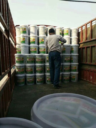 生根迅猛，返青提速長勢喜人稻立豐代理