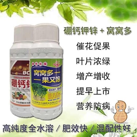 廣東珠?；ㄉC窩多