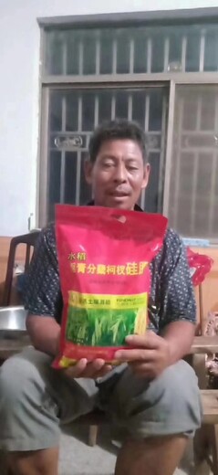 補(bǔ)硅促根返青速柯杈繁茂抗倒強(qiáng)?水稻返青柯杈硅肥廠家