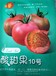 豫艺种业酸甜果10号口感番茄种子苗子耐低温果色粉红靓丽单果重80-100克