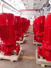 長軸消防泵供應消防泵廠家公司,穩壓緩沖立式多級消防泵圖片