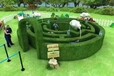 杭州绿植迷宫施工