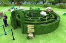 武漢綠植迷宮市場報價,綠植迷宮景區定制圖片