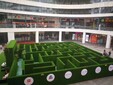 武漢綠植迷宮設計合理,出租綠植迷宮圖片